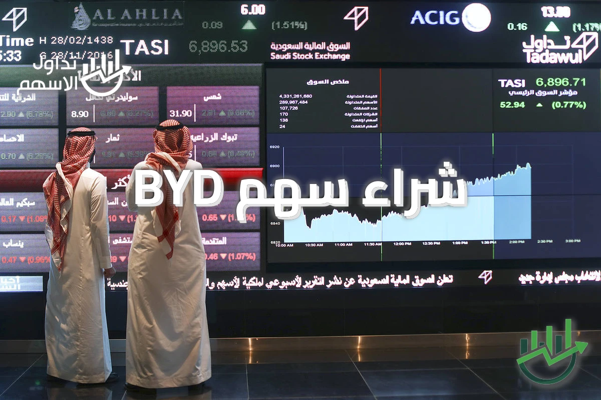 شراء سهم BYD