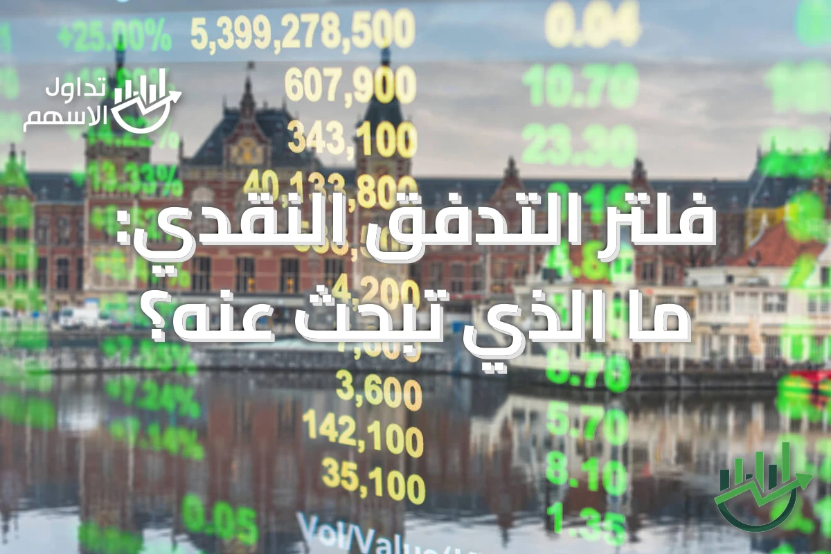 فلتر التدفق النقدي: ما الذي تبحث عنه؟